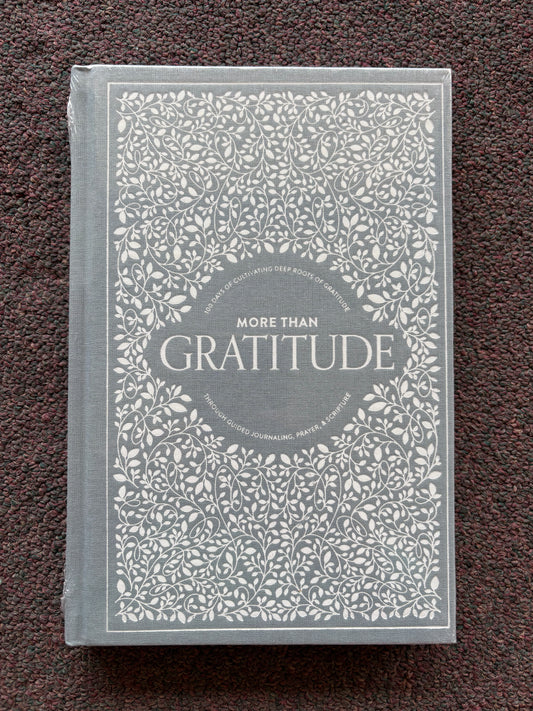 More Than Gratitude Journal